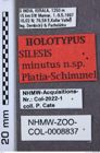 Etikette zu Silesis minutus (NHMW-ZOO-COL-0008837)